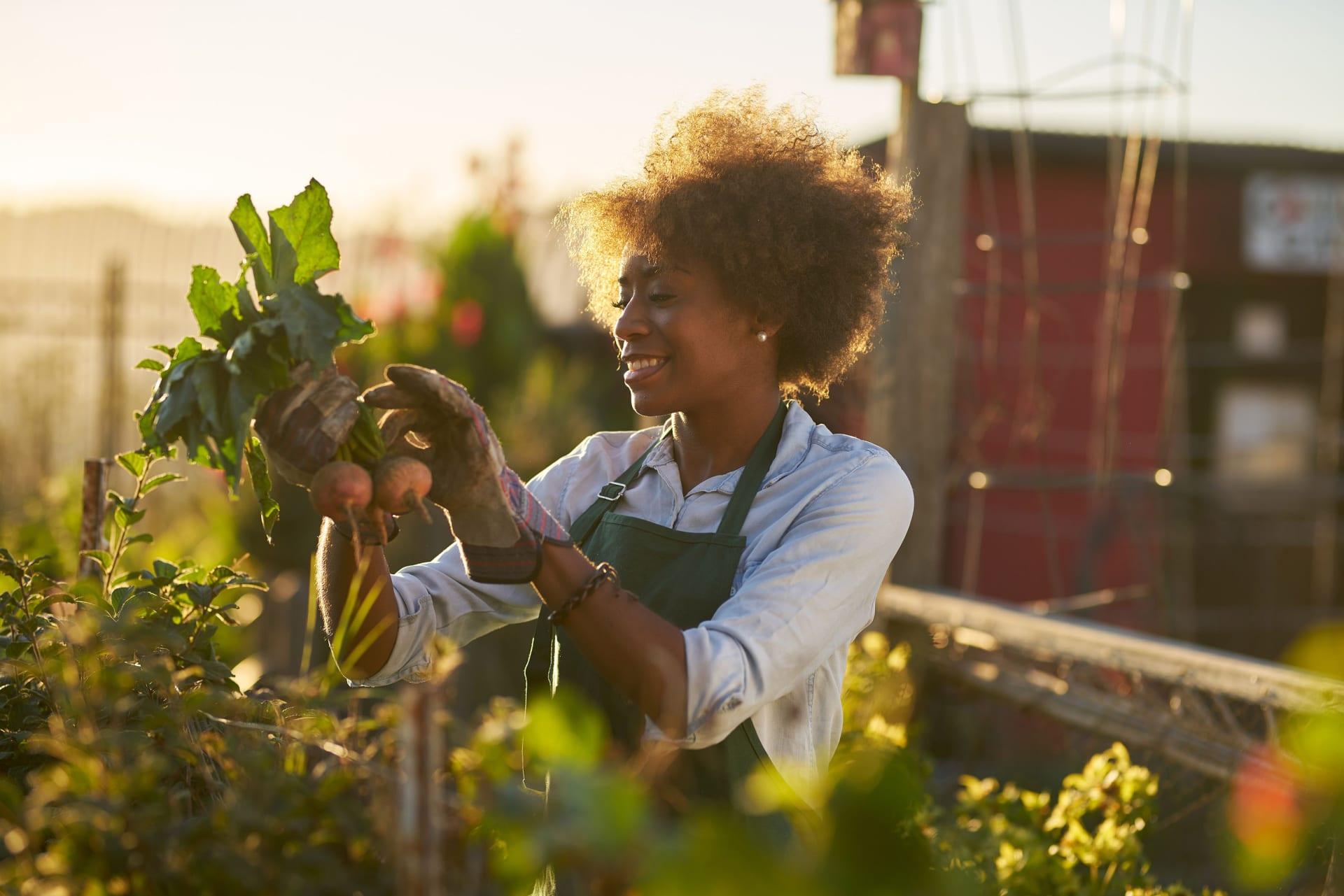 Slide - Farm to Table